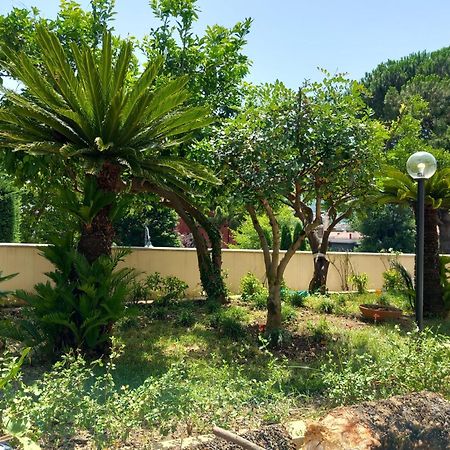 Villa Maria Cristina D'Amico Cava deʼ Tirreni Exterior foto